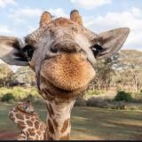 домик вейсита🍒