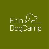 Денис Ерин | Дрессировка собак