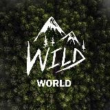 WILD WORLD