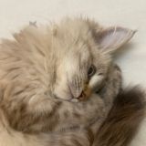 комментарии к каналу¿