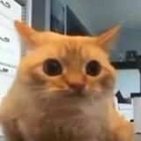 🥧☃️PT SQU×͜×D☃️🥧