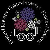 Цветы юга России