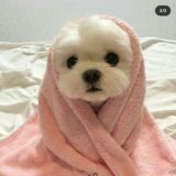 𝙢𝙤𝙤𝙙 𝙡𝙞𝙣𝙭𝙭𝙙𝙞🤍