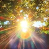 🧖♀️ СВЕТЛАЯ СТОРОНА