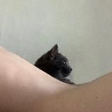 ника плюфил не знает как