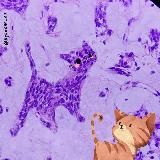 Моя патология / My Pathology