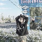 𝗫𝗜𝗜𝗩 — " Darkness XIII: Blood and Shadows "