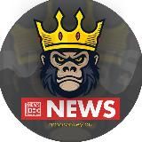 🐵RichMonkey⚡️Invest & Crypto