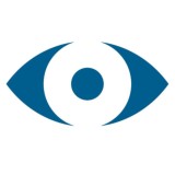 Revizor