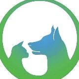 Приют "ЛИПКА"🌿 (собаки из бывшего приюта " Счастливый берег🌊")