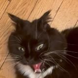 Ника Meow 📚🔞 Книги и приколдесы всякие💅