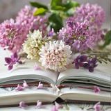 ЕГЭ и Литература 2025|schoolaliteratura.Ru