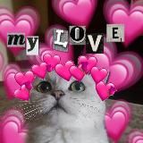 ❤️🔥𝚂𝙽𝙴𝚂𝙷𝙺𝙰 𝚅𝙸𝙿❤️🔥