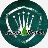 ПАЦАНКИ5|ДИКАЯ ПРАВДА