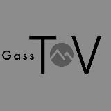 GASSIEV | Pro Все