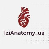 IziAnatomy_ua👩🏻⚕️