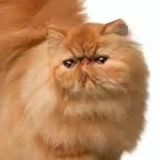 Беседа GMD13 🎅