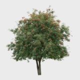 и не от мира сего, и не от мира того