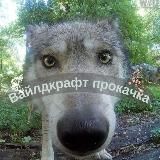 🐇Вᴀйᴧдᴋᴩᴀɸᴛ|Пᴩᴏᴋᴀчᴋᴀ|☘