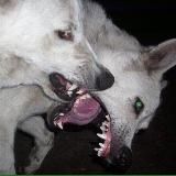 Трейд путь к успеху 🫰