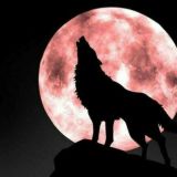 【HK】狼人 歡迎加入