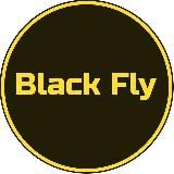 в 'BLACK FLY' кроссовки и не только…