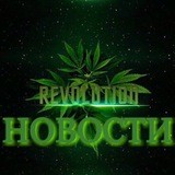 Новости "Revolution"
