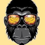 Обезьяны и Цитаты