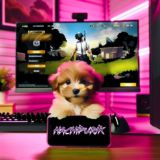 ❤️‍🔥ᴧюбиʍᴋи хᴀчиᴨуᴩиᴋᴀ❤️‍🔥