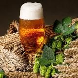 Самоварение Пивасика Пробы Дегустация