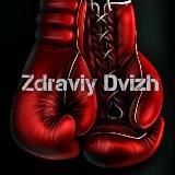 🕸Zdraviy Dvizh🕸️
