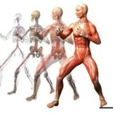 ❗ЛФК ФИТНЕС ДИЕТОЛОГИЯ РЕАБИЛИТАЦИЯ МАНУАЛЬНАЯ ТЕРАПИЯ БИОХИМИЯ АДАПТИВНАЯ