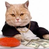 Заработок в интернете