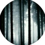 Обратная сторона SFT | Симбирский о жиже, музыке и кино