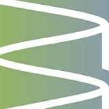 Лицей им.ак. И.А. Бакулова пос. Вольгинский