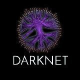 DarkNet Secret 🔪