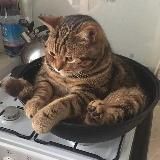 экзистенциальный притон