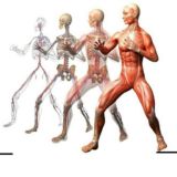 ❗ЛФК ФИТНЕС ДИЕТОЛОГИЯ РЕАБИЛИТАЦИЯ МАНУАЛЬНАЯ ТЕРАПИЯ БИОХИМИЯ