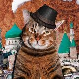 Лушистые Папки
