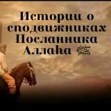 📜ИСТОРИИ СПОДВИЖНИКОВ