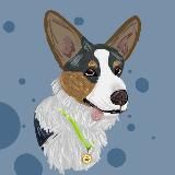 🐾Графейня🐶