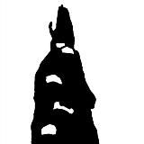 арина и муравьеды