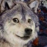 🌲 ArmThyRightHand 🌲