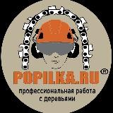 POPILKA.RU профессиональная работа с деревьями