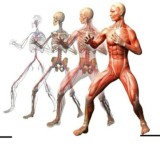 ❗ЛФК ФИТНЕС ДИЕТОЛОГИЯ РЕАБИЛИТАЦИЯ МАНУАЛЬНАЯ ТЕРАПИЯ БИОХИМИЯ АДАПТИВНАЯ