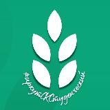 #ИркутСКСтуденческий