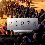 •2⃟:2⃟7⃟4⃟•