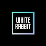 White Rabbit 🐇