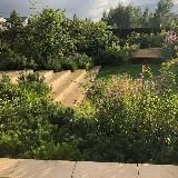 Malikova Gardens | Ландшафтный архитектор