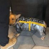 Тикток!!!!!!!!!